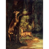 Male and Female Deer in the Woods