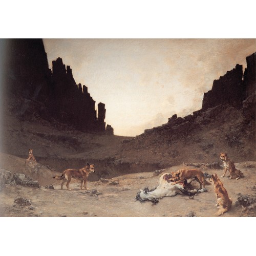 Dogs of the Douar Devouring a Dead Horse