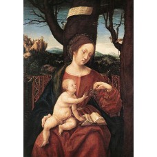 Madonna with Grape