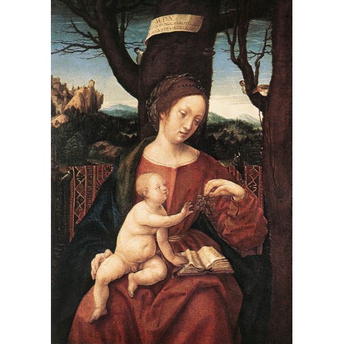 Madonna with Grape