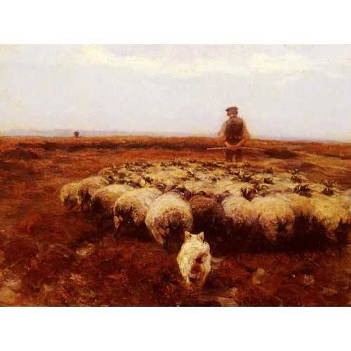 Shepherd on the Meadow