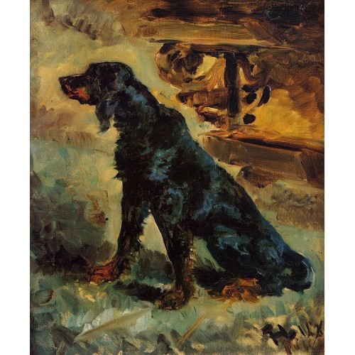 Dun a Setter Belonging to Comte Alphonse de Toulouse Lautre