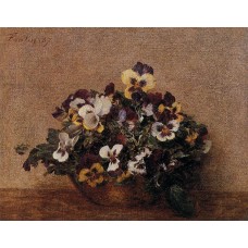 Pansies 2