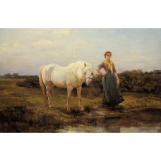 Noonday taking a Horse to Water