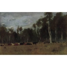 A herd 1890