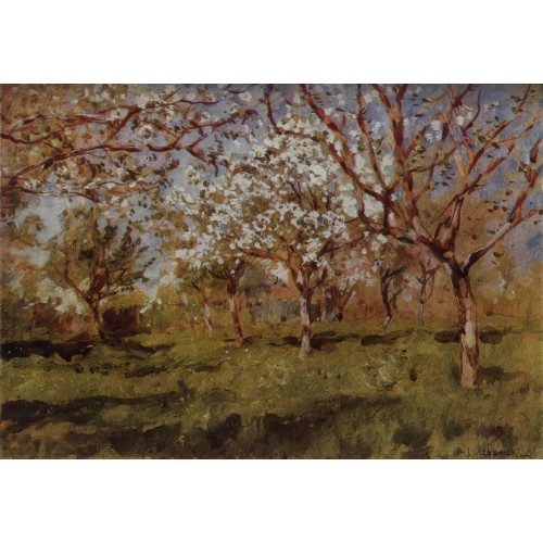 Apple trees in blossom 1896 1