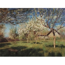 Apple trees in blossom 1896 2
