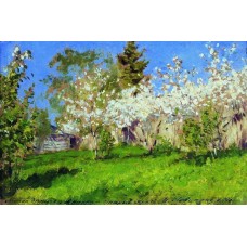 Apple trees in blossom 1896