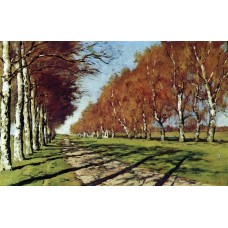 Big road sunny autumn day 1897