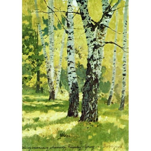 Birch grove 1878