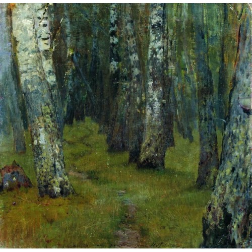 Birches forest edge