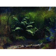 Ferns by the water 1895