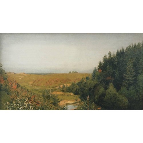 Landscape with forest river