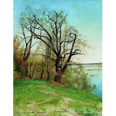 Oak on the riverbank 1887