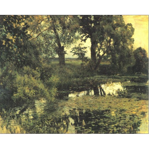 Overgrown pond 1887 1