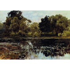 Overgrown pond 1887