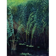 Reeds and water lilies 1889