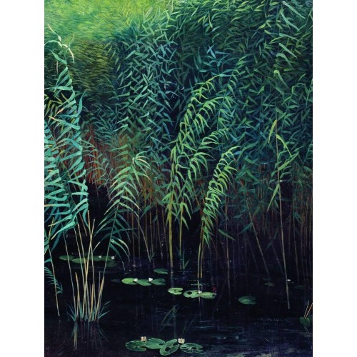 Reeds and water lilies 1889