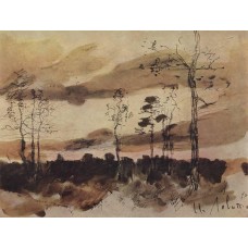 Sunset forest edge 1900