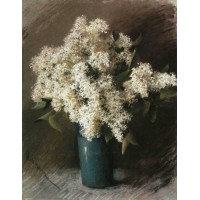 White lilac 1895