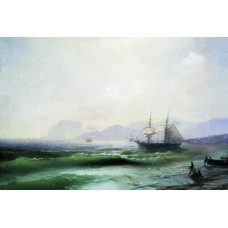 Agitated sea 1877