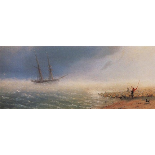 Sheep which forced by storm to the sea 1855