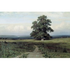 Among the open valley 1883