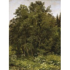 At the edge of the forest 1885