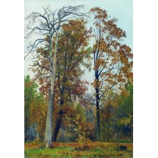 Autumn 1894