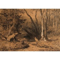 Backwoods 1870