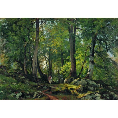 Beech forest in switzerland 1863 1