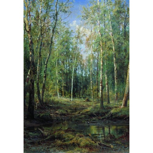 Birch grove 1875