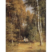 Birch grove 1878
