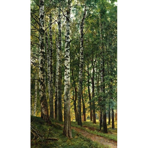 Birch grove 1896