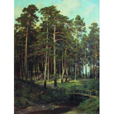 Bridge in the forest 1895