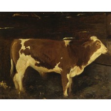 Bull 1863
