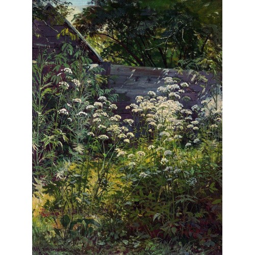 Corner of overgrown garden goutweed grass 1884