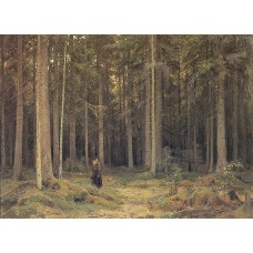 Countess mordvinov s forest 1891