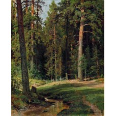 Edge of the forest 1884