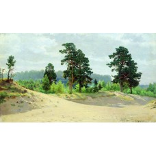 Edge of the forest 1890