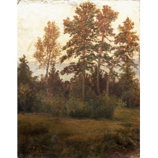 Edge of the forest 1892
