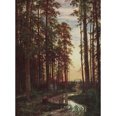 Evening in a pine forest 1875