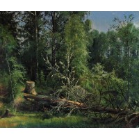 Fallen tree 1875