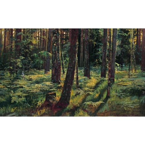 Ferns in the forest siverskaya 1883