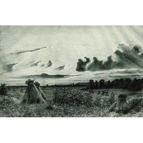 Field 1886