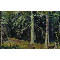 Fir forest 1890 1