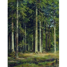 Fir forest 1891