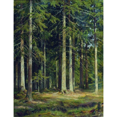 Fir forest 1891