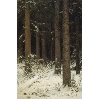 Fir forest in winter 1884