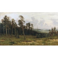 Fir forest on the river kama 1877